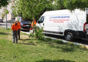 Bulutlar'dan çevre dikkati